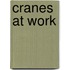 Cranes at Work