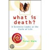 What Is Death? door Tyler Volk