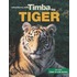 Timba the Tiger