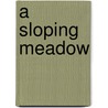 A Sloping Meadow door Sean Crowe