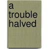 A Trouble Halved door Andy Eisenberg