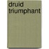 Druid Triumphant