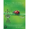 Little Rain Drop by Dr. Jeff Taylor