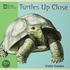 Turtles Up Close