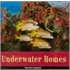 Underwater Homes
