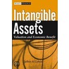 Intangible Assets door Jeffrey Cohen