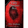 Little Dumber Boy by B.K. Stephens