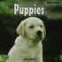 Puppies/Cachorros