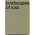 Landscapes of Loss