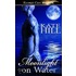 Moonlight on Water