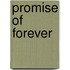 Promise Of Forever
