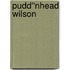 Pudd''nhead Wilson