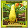 Squash / Calabazas by Ins Vaughn