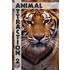 Animal Attraction 2