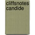 CliffsNotes Candide