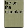 Fire on the Mountain door Pd Singer