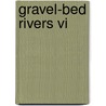 Gravel-bed Rivers Vi by Helmut Habersack