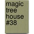 Magic Tree House #38