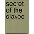 Secret of the Slaves