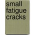 Small Fatigue Cracks