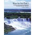 Water for New York I