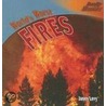 World''s Worst Fires door Janey Levy