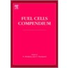 Fuel Cells Compendium door Nigel P. Brandon