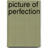 Picture of Perfection