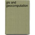 Gis And Geocomputation