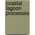 Coastal Lagoon Processes
