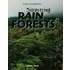 Discovering Rain Forests