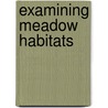 Examining Meadow Habitats by Zelda King