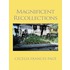 Magnificent Recollections