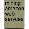 Mining Amazon Web Servces door John Paul Mueller