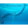 The Last Days of Atlantis by Jon Peniel