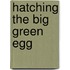 Hatching the Big Green Egg