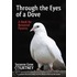 Through the Eyes of a Dove