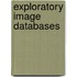 Exploratory Image Databases