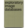 Exploratory Image Databases by Simone Santini