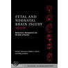 Fetal and Neonatal Brain Injury door William E. Benitz