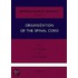 Organization of the Spinal Cord