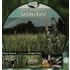 The Ecosystem of a Grassy Field