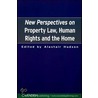 New Perspectives on Property Law door Et Al Hudson