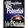 Small Congregation, Big Potential by Lyle E. Schaller