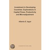 Investment in Developing Countries door Alberto Isgut
