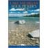 Lake Michigan Rock Picker''s Guide