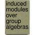 Induced Modules over Group Algebras