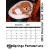 PomSprings Pomeranians 2005 Calendar by Unknown