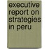 Executive Report on Strategies in Peru