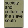 Society and Culture in the Slave South door Joshua Harris